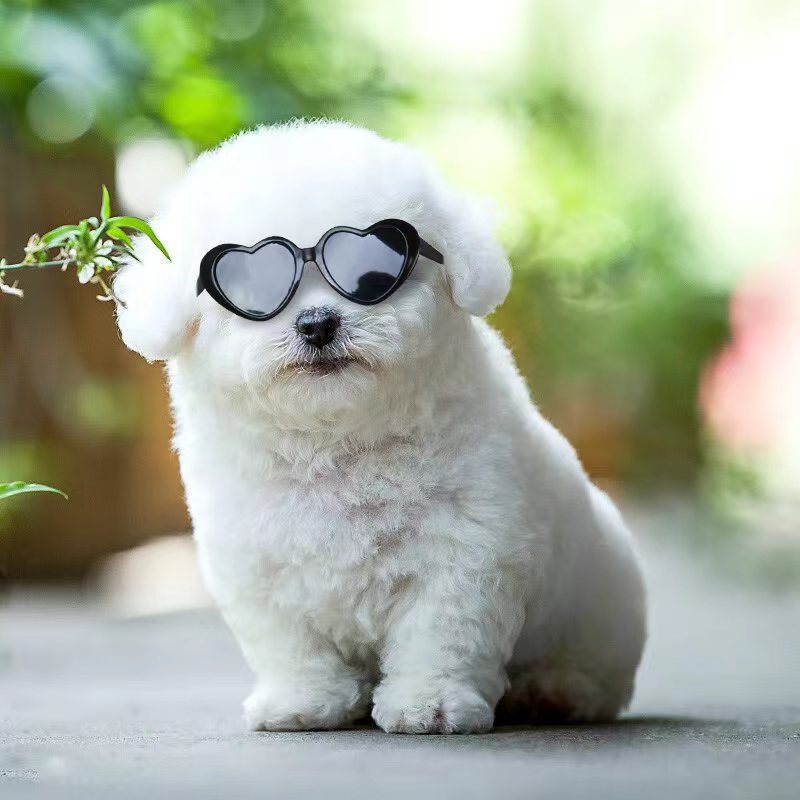 Doll Sunglasses Pet Toy Accessories - Imagen 2