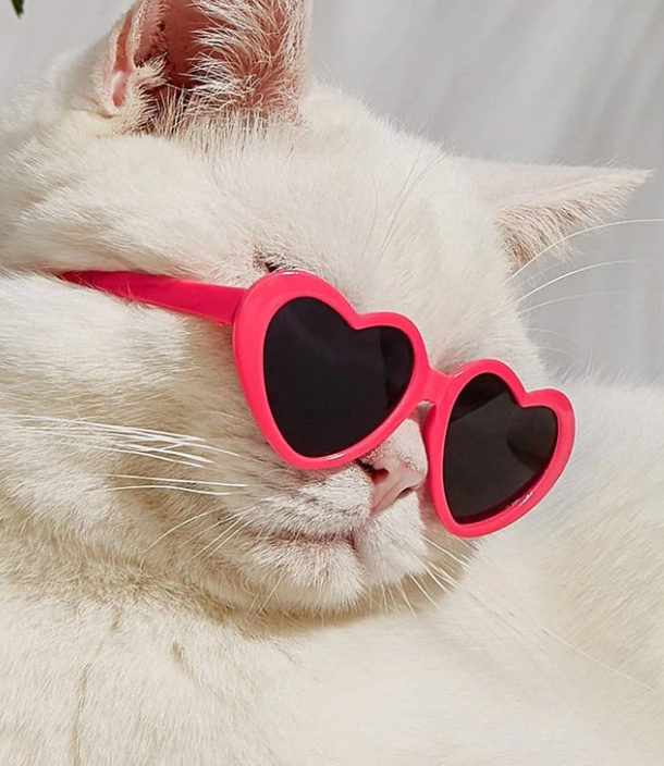 Doll Sunglasses Pet Toy Accessories - Imagen 5