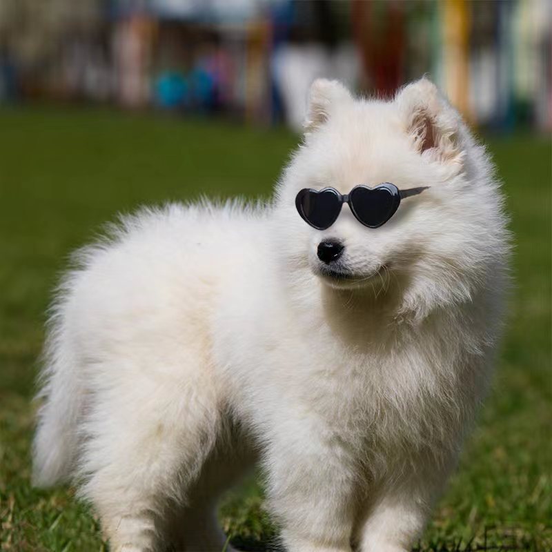 Doll Sunglasses Pet Toy Accessories - Imagen 4