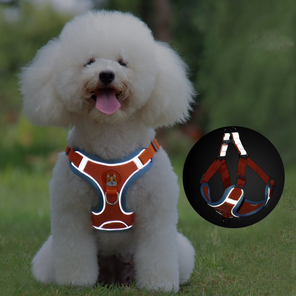 Nuevo conjunto de arnés y correa para perros - Set ajustable de arnés y correa para cachorros y gatos, chaleco arnés reflectante para paseos sin tirones para perros pequeños y Chihuahua/ New Dog Leash And Harness Set Pet Dog Harness And Leash Set Adjustable Puppy Cat Harness Vest Reflective Walking No Pull Lead Leash For Small Dogs Chihuahua - Imagen 7