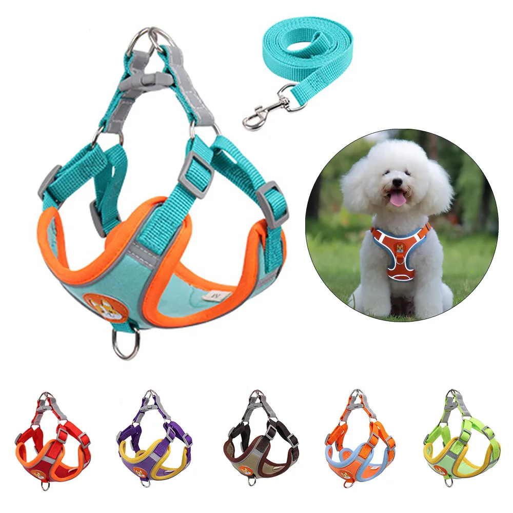 Nuevo conjunto de arnés y correa para perros - Set ajustable de arnés y correa para cachorros y gatos, chaleco arnés reflectante para paseos sin tirones para perros pequeños y Chihuahua/ New Dog Leash And Harness Set Pet Dog Harness And Leash Set Adjustable Puppy Cat Harness Vest Reflective Walking No Pull Lead Leash For Small Dogs Chihuahua - Imagen 10