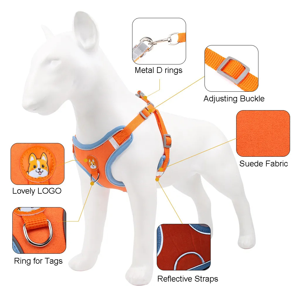 Nuevo conjunto de arnés y correa para perros - Set ajustable de arnés y correa para cachorros y gatos, chaleco arnés reflectante para paseos sin tirones para perros pequeños y Chihuahua/ New Dog Leash And Harness Set Pet Dog Harness And Leash Set Adjustable Puppy Cat Harness Vest Reflective Walking No Pull Lead Leash For Small Dogs Chihuahua - Imagen 8