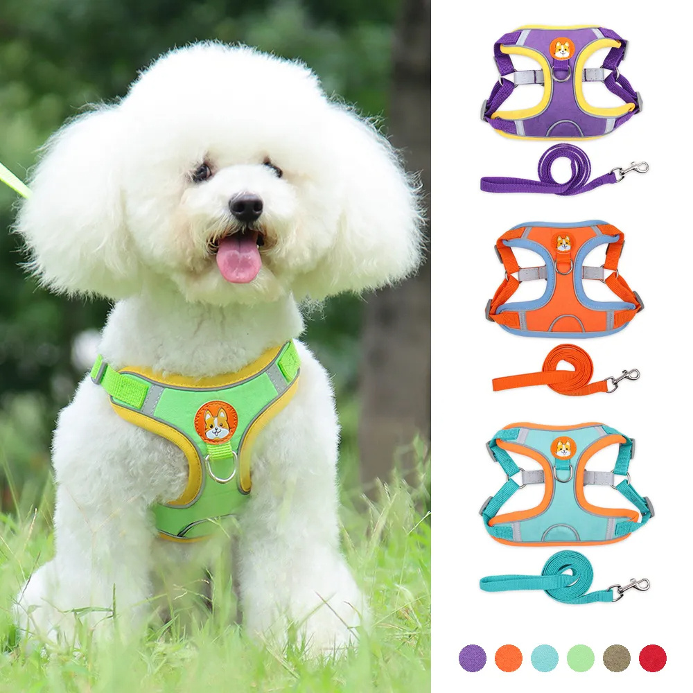 Nuevo conjunto de arnés y correa para perros - Set ajustable de arnés y correa para cachorros y gatos, chaleco arnés reflectante para paseos sin tirones para perros pequeños y Chihuahua/ New Dog Leash And Harness Set Pet Dog Harness And Leash Set Adjustable Puppy Cat Harness Vest Reflective Walking No Pull Lead Leash For Small Dogs Chihuahua