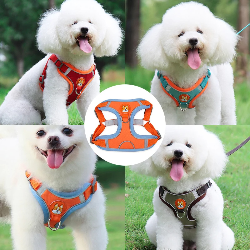 Nuevo conjunto de arnés y correa para perros - Set ajustable de arnés y correa para cachorros y gatos, chaleco arnés reflectante para paseos sin tirones para perros pequeños y Chihuahua/ New Dog Leash And Harness Set Pet Dog Harness And Leash Set Adjustable Puppy Cat Harness Vest Reflective Walking No Pull Lead Leash For Small Dogs Chihuahua - Imagen 4